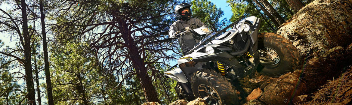 2017 Yamaha Grizzly for sale in Cycle Design, Phillipston, Massachusetts